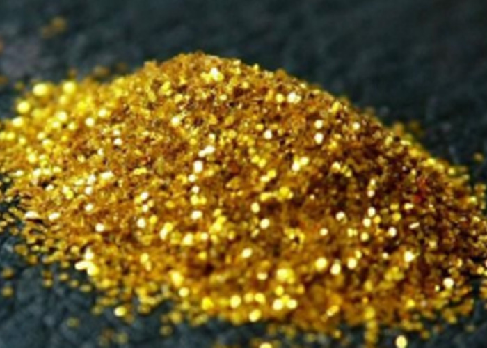 Gold adsorption activated carbon